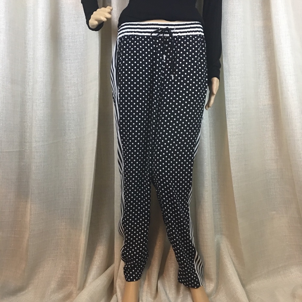 Express Lounge Dressy Pants